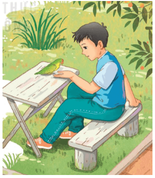 Con vẹt xanh lớp 4 (trang 55, 56) | Kết nối tri thức Giải Tiếng Việt lớp 4