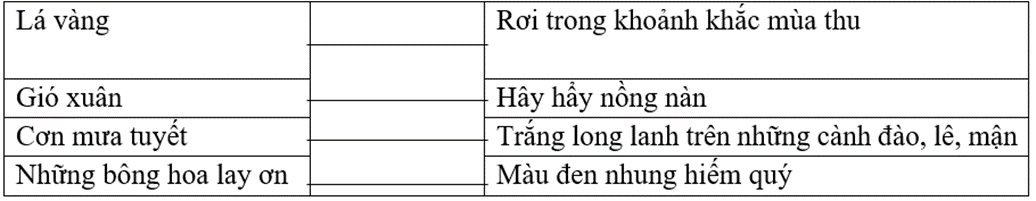 Trắc nghiệm Đường đi Sa Pa (có đáp án) | Tiếng Việt lớp 4 Kết nối tri thức