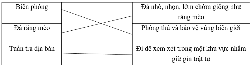 Trắc nghiệm Tờ báo tường của tôi (có đáp án) | Tiếng Việt lớp 4 Kết nối tri thức