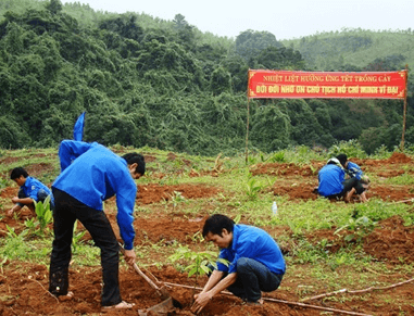 Trắc nghiệm Cuộc sống xanh (có đáp án) | Tiếng Việt lớp 4 Kết nối tri thức