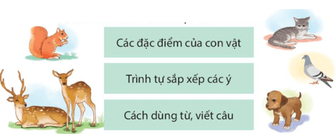 Viết bài văn miêu tả con vật trang 128 lớp 4 | Kết nối tri thức Giải Tiếng Việt lớp 4