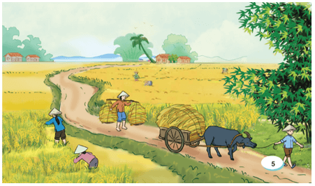 Quang cảnh làng mạc ngày mùa lớp 5 (trang 4, 5, 6) | Cánh diều Giải Tiếng Việt lớp 5