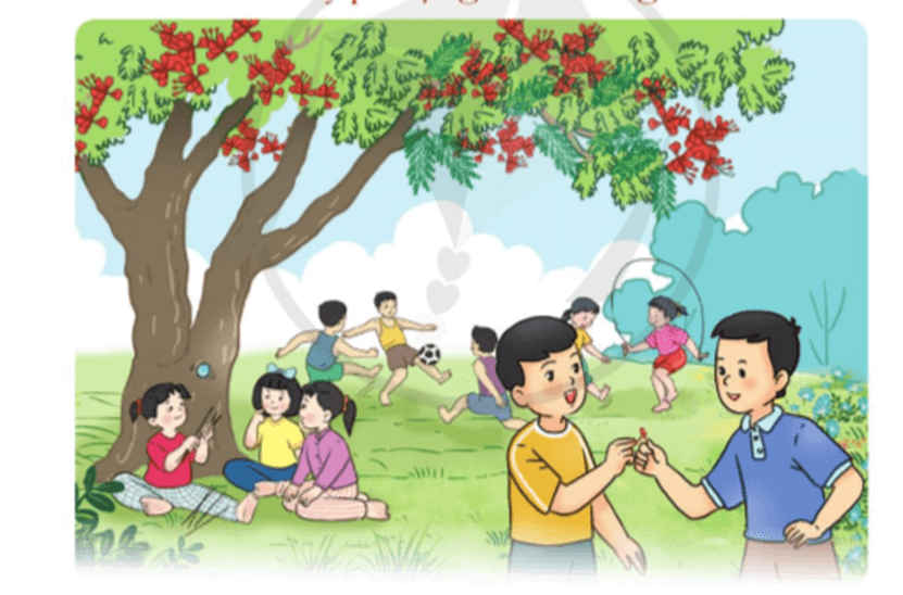 Cây phượng xóm Đông lớp 5 (trang 96, 97) | Cánh diều Giải Tiếng Việt lớp 5