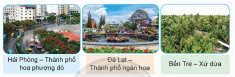 Thành phố Vì hoà bình lớp 5 (trang 90, 91) | Chân trời sáng tạo Giải Tiếng Việt lớp 5