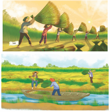 Từ những cánh đồng xanh lớp 5 (trang 144, 145) | Chân trời sáng tạo Giải Tiếng Việt lớp 5
