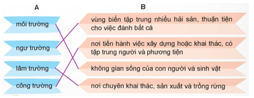 Luyện từ và câu lớp 5 trang 38, 39 (Mở rộng vốn từ Môi trường) | Chân trời sáng tạo Giải Tiếng Việt lớp 5