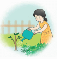Trao đổi ý kiến với người thân Trồng và chăm sóc cây cối, vật nuôi trang 31 lớp 5 | Chân trời sáng tạo Giải Tiếng Việt lớp 5