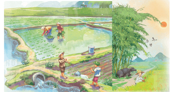 Hạt gạo làng ta lớp 5 (trang 17, 18) | Kết nối tri thức Giải Tiếng Việt lớp 5