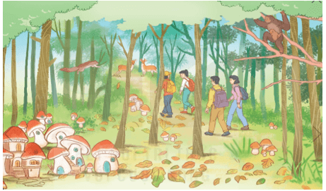 Kì diệu rừng xanh lớp 5 (trang 51, 52) | Kết nối tri thức Giải Tiếng Việt lớp 5