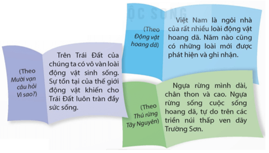 Đọc mở rộng Bài 10 trang 54, 55 lớp 5 | Kết nối tri thức Giải Tiếng Việt lớp 5