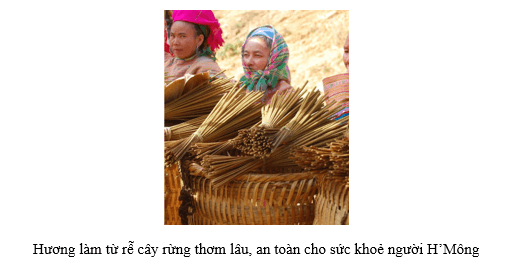Sản vật địa phương trang 75, 76 lớp 5 | Kết nối tri thức Giải Tiếng Việt lớp 5