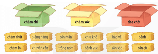 Tiết 1, 2 trang 80, 81 lớp 5 | Kết nối tri thức Giải Tiếng Việt lớp 5