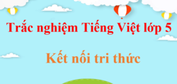 1000 Câu hỏi trắc nghiệm Tiếng Việt lớp 5 Kết nối tri thức (có đáp án) | Trắc nghiệm Tiếng Việt lớp 5