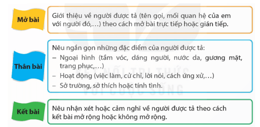 Lập dàn ý cho bài văn tả người trang 24 lớp 5 | Kết nối tri thức Giải Tiếng Việt lớp 5