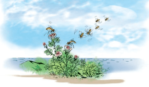 Hành trình của bầy ong lớp 5 | Giải Tiếng Việt lớp 5 Tập 1