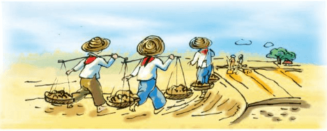 Hạt gạo làng ta lớp 5 | Giải Tiếng Việt lớp 5 Tập 1