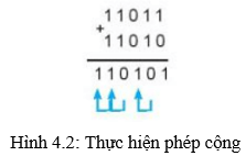Lý thuyết Tin 10 Kết nối tri thức Bài 4: Hệ nhị phân và dữ liệu số nguyên (ảnh 3)