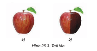 Với bức ảnh quả táo màu đỏ (Hinh 26.3a), em có nghĩ ra cách chỉnh màu trên toàn bộ ảnh
