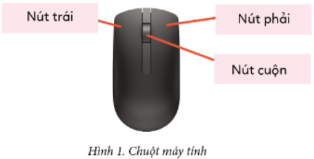 Lý thuyết Tin học lớp 3 Cánh diều Bài 3: Em tập sử dụng chuột