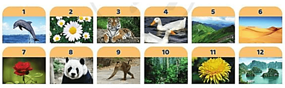 Trắc nghiệm Tin học lớp 3 Cánh diều Bài 1 (có đáp án): Sự cần thiết của sắp xếp
