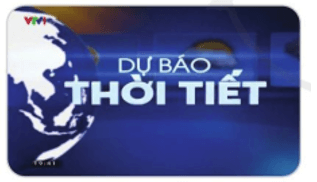 Trắc nghiệm Tin học lớp 3 Cánh diều Bài 1 (có đáp án): Thông tin trên Internet