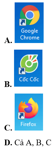 Trắc nghiệm Tin học lớp 3 Cánh diều Bài 1 (có đáp án): Thông tin trên Internet