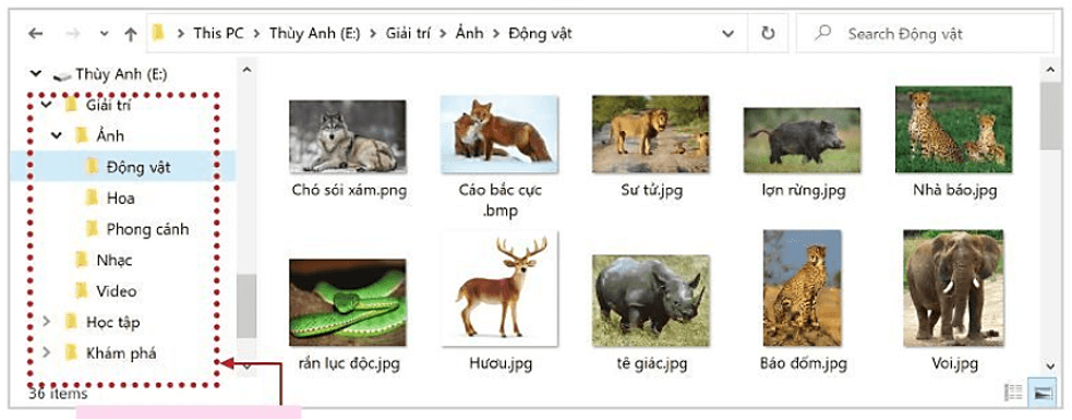 Trắc nghiệm Tin học lớp 3 Cánh diều Bài 2 (có đáp án): Cây thư mục