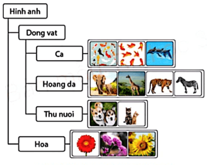 Trắc nghiệm Tin học lớp 3 Cánh diều Bài 2 (có đáp án): Cây thư mục