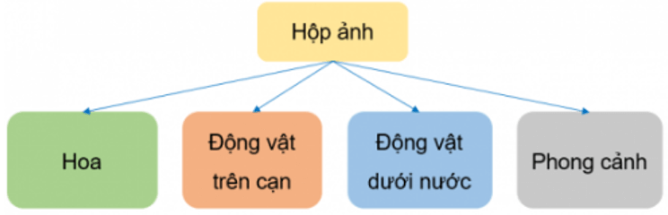Trắc nghiệm Tin học lớp 3 Cánh diều Bài 2 (có đáp án): Sơ đồ hình cây