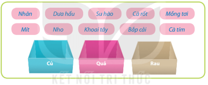 Trắc nghiệm Tin học lớp 3 Cánh diều Bài 2 (có đáp án): Sơ đồ hình cây