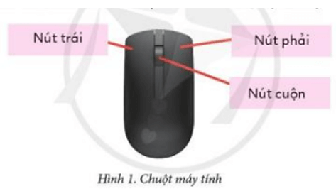 Trắc nghiệm Tin học lớp 3 Cánh diều Bài 3 (có đáp án): Em tập sử dụng chuột