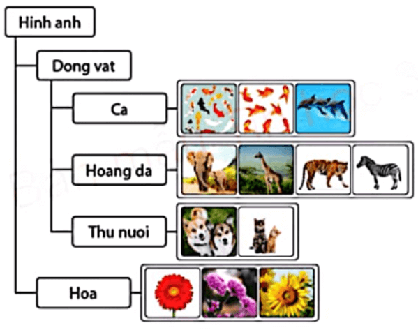 Trắc nghiệm Tin học lớp 3 Cánh diều Bài 3 (có đáp án): Em tập thao tác với thư mục