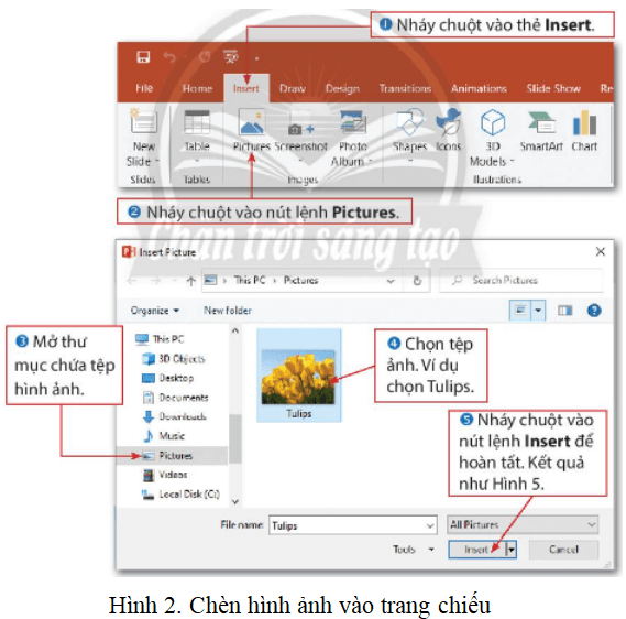 Lý thuyết Tin học lớp 3 Chân trời sáng tạo Bài 10: Trang trình chiếu của em