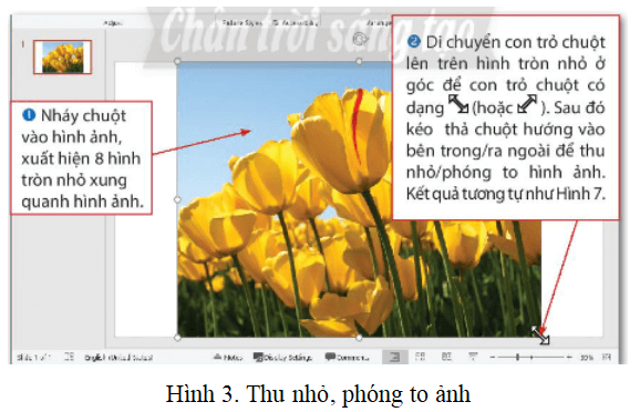 Lý thuyết Tin học lớp 3 Chân trời sáng tạo Bài 10: Trang trình chiếu của em