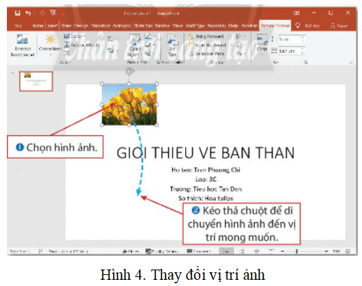 Lý thuyết Tin học lớp 3 Chân trời sáng tạo Bài 10: Trang trình chiếu của em