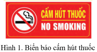 Lý thuyết Tin học lớp 3 Chân trời sáng tạo Bài 2: Xử lí thông tin