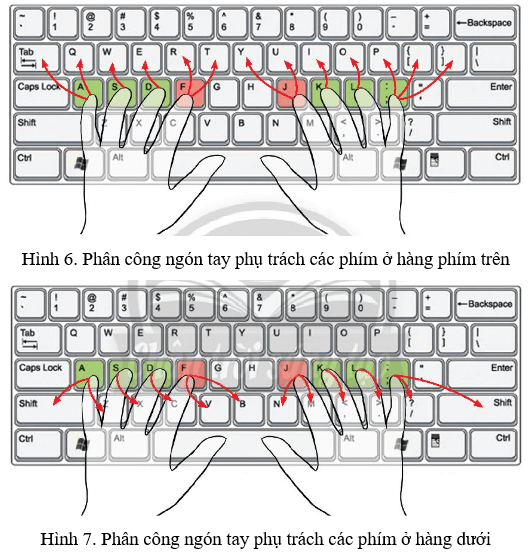 Lý thuyết Tin học lớp 3 Chân trời sáng tạo Bài 5: Tập gõ bàn phím