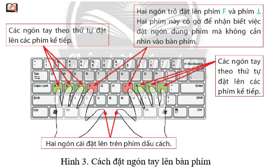 Lý thuyết Tin học lớp 3 Chân trời sáng tạo Bài 5: Tập gõ bàn phím
