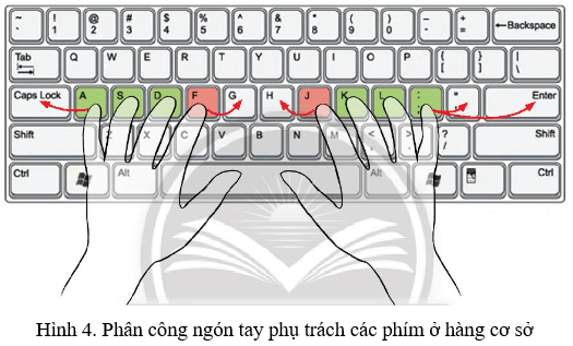 Lý thuyết Tin học lớp 3 Chân trời sáng tạo Bài 5: Tập gõ bàn phím