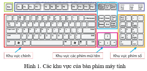 Lý thuyết Tin học lớp 3 Chân trời sáng tạo Bài 5: Tập gõ bàn phím