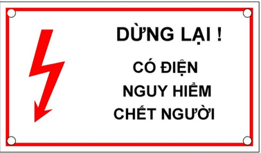 Trắc nghiệm Tin học lớp 3 Chân trời sáng tạo Bài 1 (có đáp án): Thông tin và quyết định