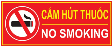 Trắc nghiệm Tin học lớp 3 Chân trời sáng tạo Bài 2 (có đáp án): Xử lí thông tin