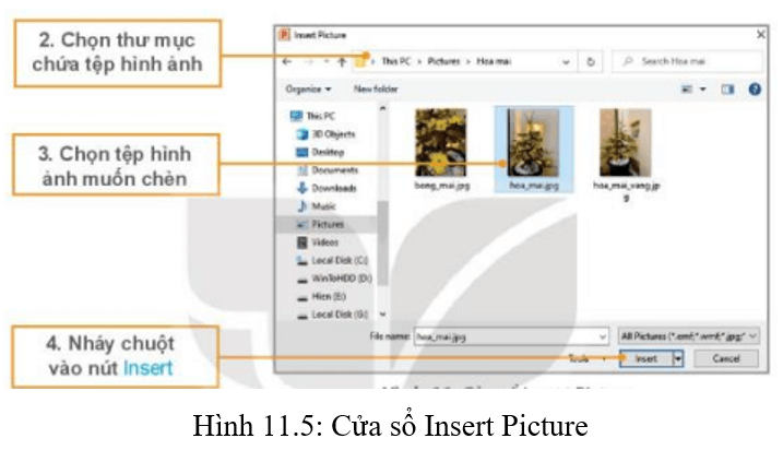 Lý thuyết Tin học lớp 3 Kết nối tri thức Bài 11: Bài trình chiếu của em