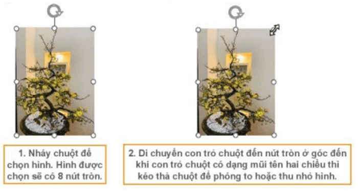 Lý thuyết Tin học lớp 3 Kết nối tri thức Bài 11: Bài trình chiếu của em