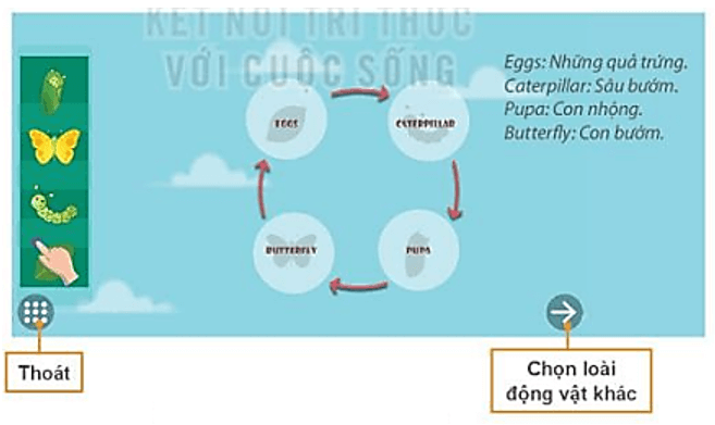 Lý thuyết Tin học lớp 3 Kết nối tri thức Bài 12: Tìm hiểu về thế giới tự nhiên