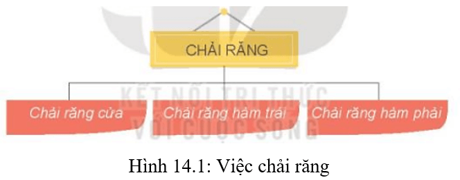 Lý thuyết Tin học lớp 3 Kết nối tri thức Bài 14: Em thực hiện công việc như thế nào
