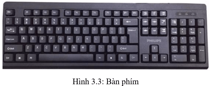 Lý thuyết Tin học lớp 3 Kết nối tri thức Bài 3: Máy tính và em