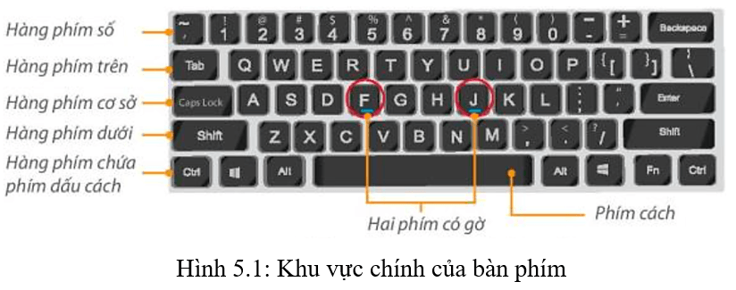 Lý thuyết Tin học lớp 3 Kết nối tri thức Bài 5: Sử dụng bàn phím