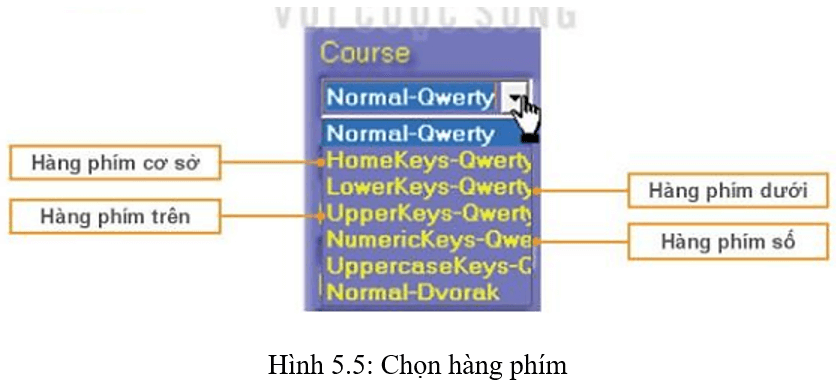 Lý thuyết Tin học lớp 3 Kết nối tri thức Bài 5: Sử dụng bàn phím
