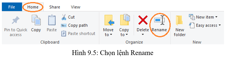 Lý thuyết Tin học lớp 3 Kết nối tri thức Bài 9: Thực hành với tệp và thư mục trong máy tính